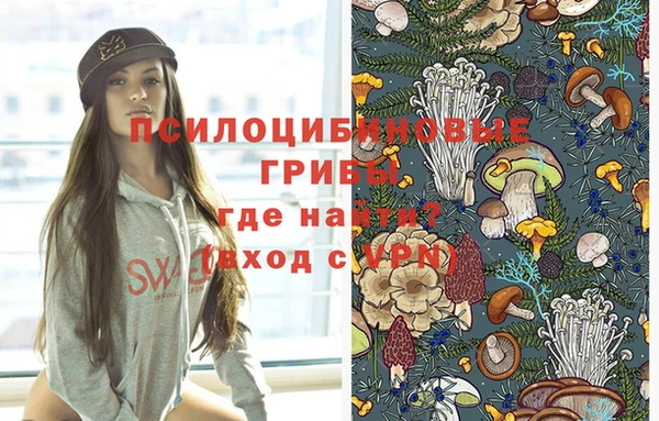 Альфа ПВП Аркадак