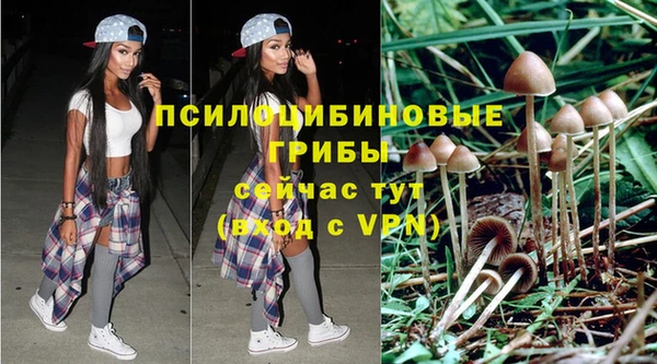 соль курить ск Арсеньев