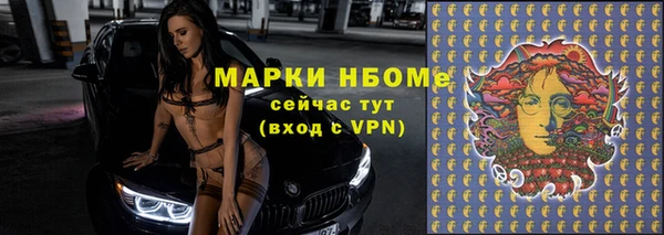Альфа ПВП Аркадак